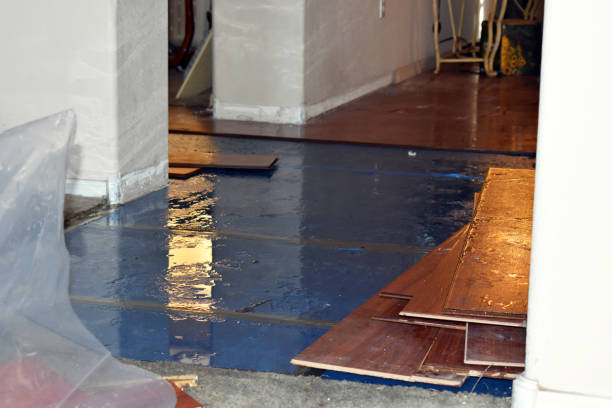 Professional Sewage Cleanup technician working in Brunsville, IA